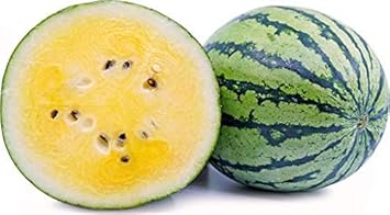 Light Yellow Watermelon Fruit Seeds for Planting - Easy to Grow & High-Yielding Variety